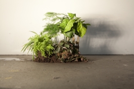 simon kentgens-15_image.JPG